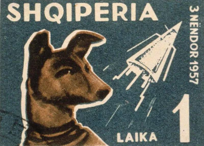 Laika