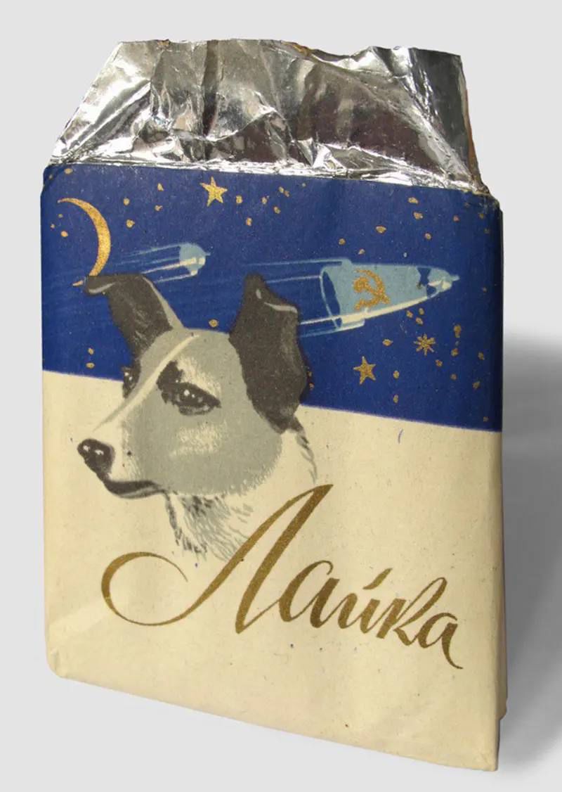 Laika Dog